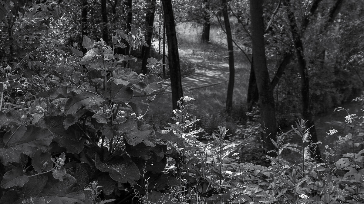 ***** - юрий поляков