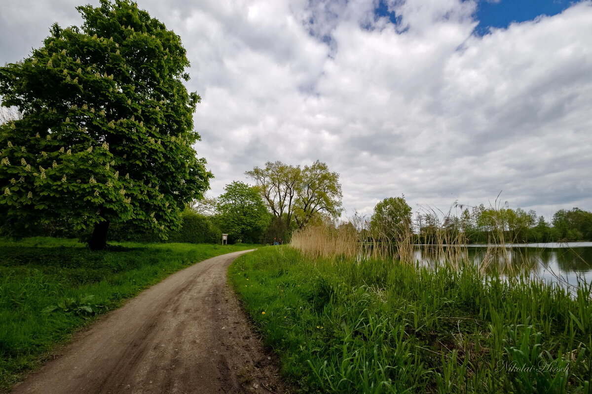 Мимо каштана... - Николай Гирш Мимо каштана... - Николай Гирш