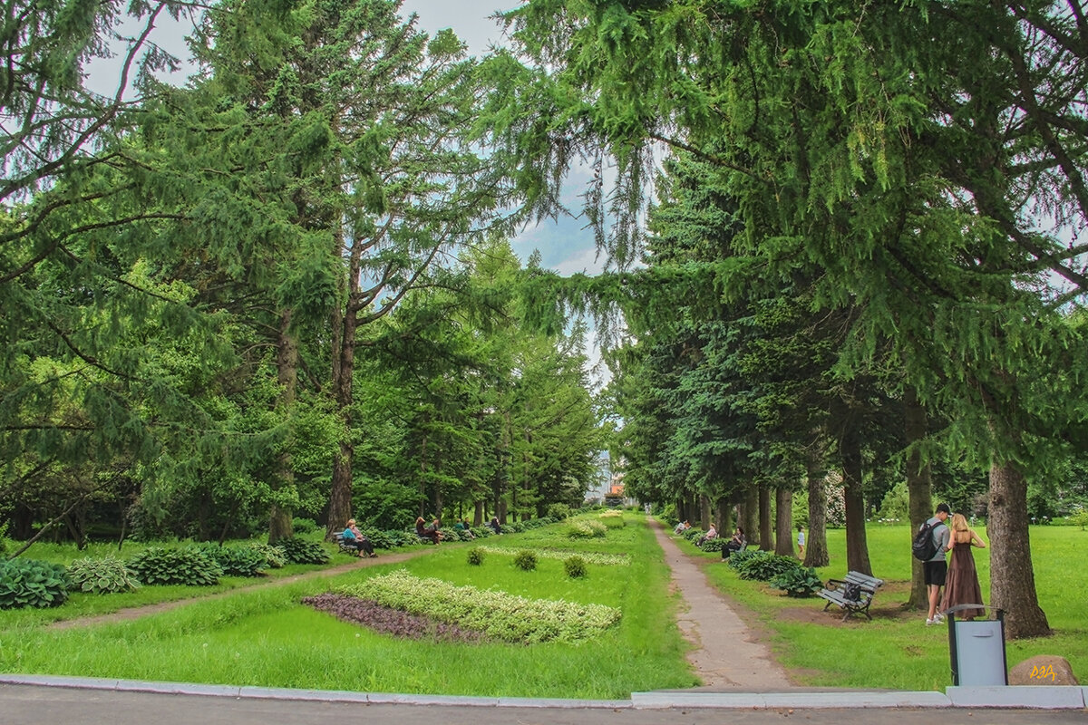 *** - Роланд Дубровский