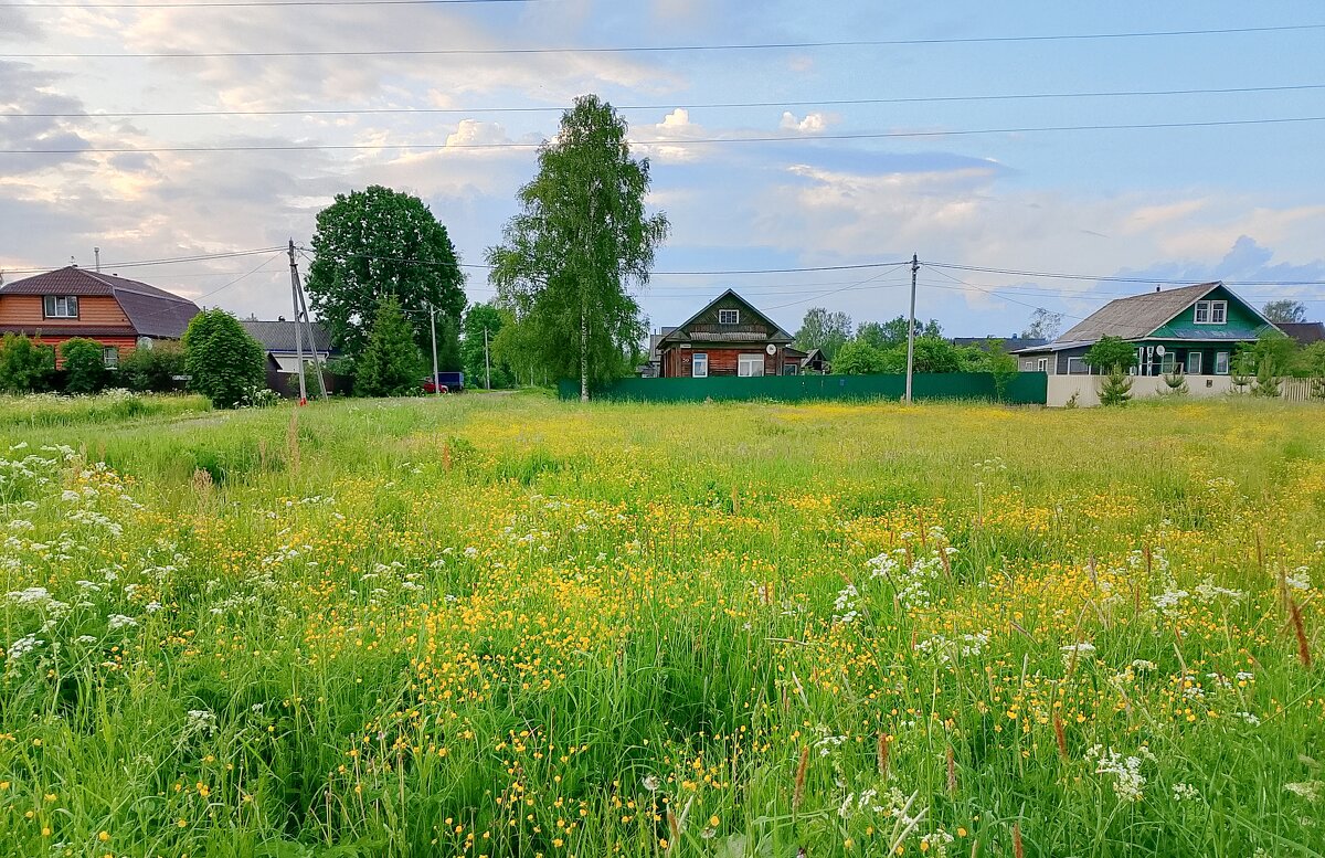 Летоооо... - валентин 