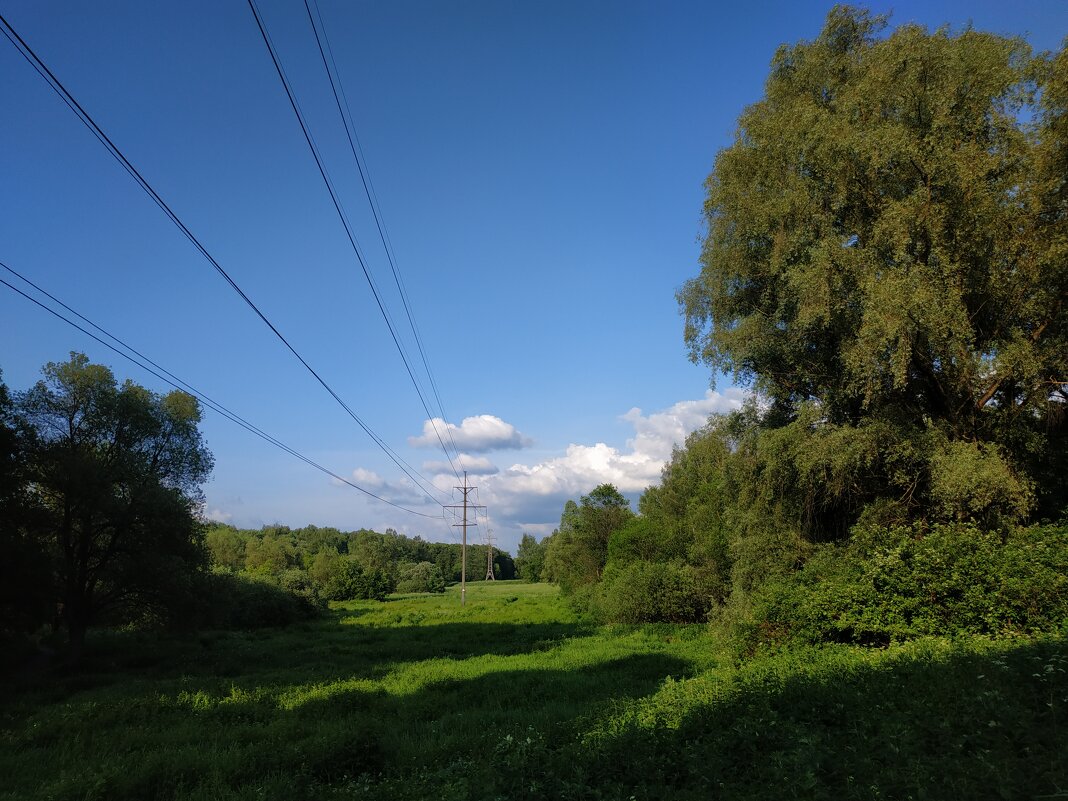 Июнь продолжается - Андрей Лукьянов