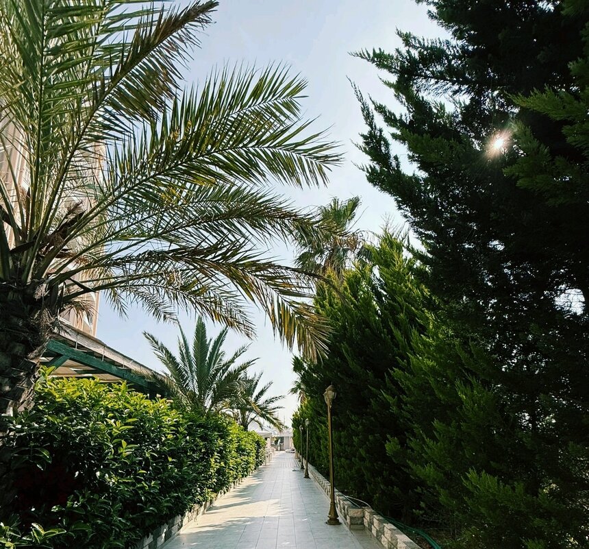 Турецкая жизнь... - Георгиевич 