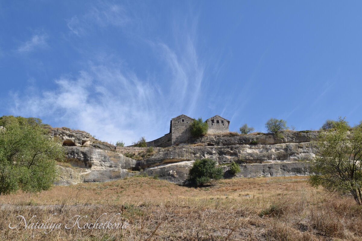Природа Крыма - Amazing Cosmea Природа Крыма - Amazing Cosmea