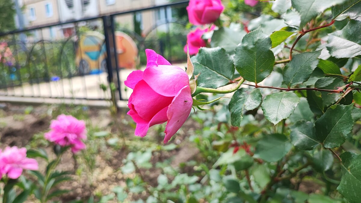 ,,, - Сергей Тимоновский