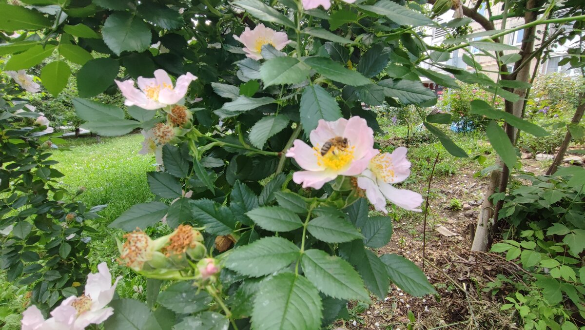 ,,, - Сергей Тимоновский