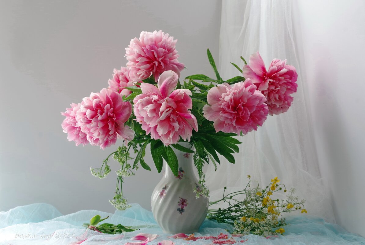 Моли любимые пионы - Ирина Баскакова