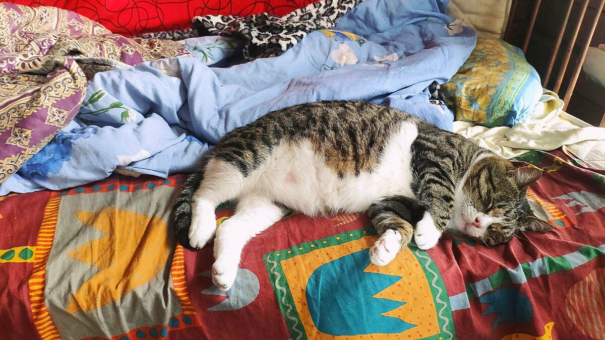 сладко спится в деревне... - Любовь 