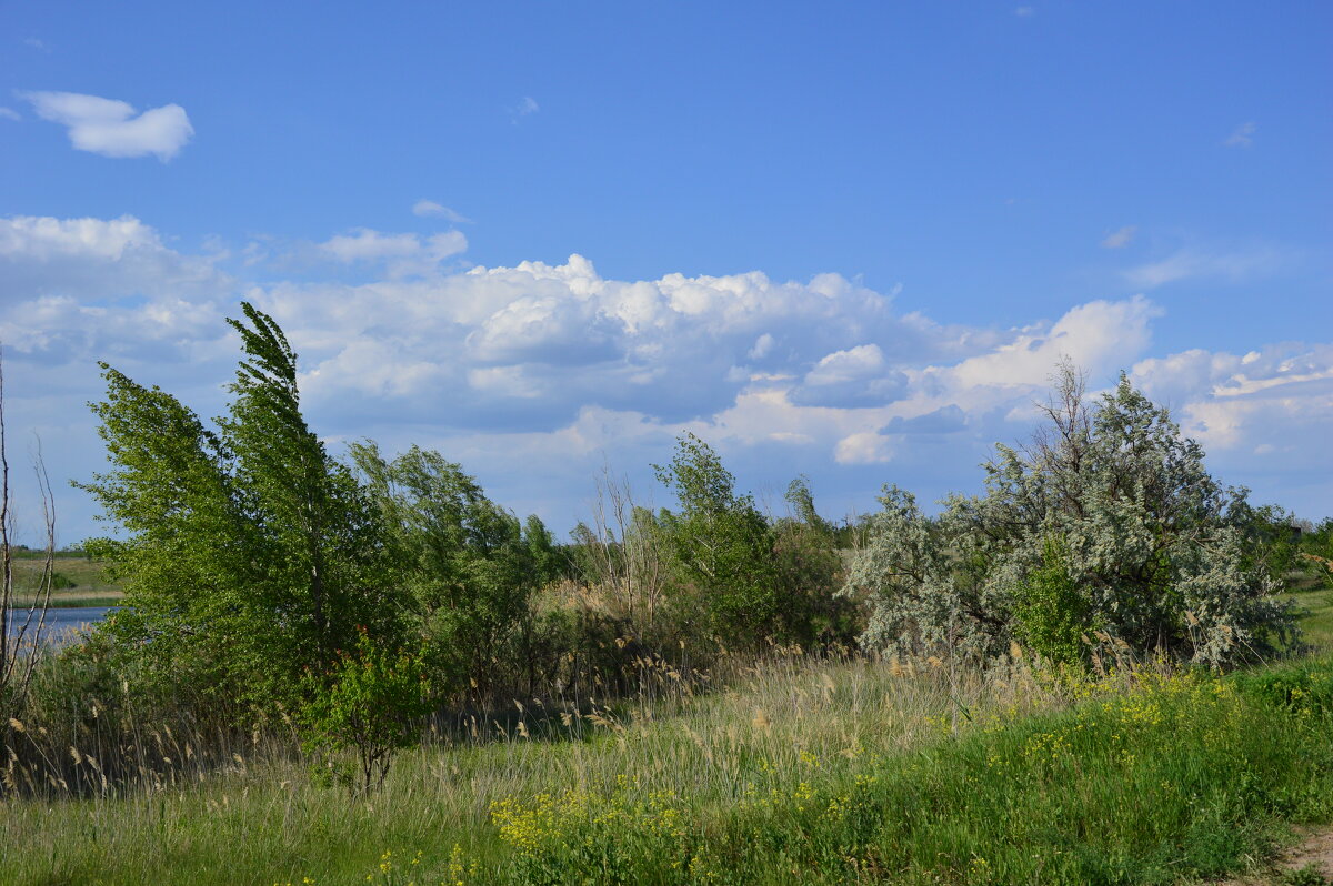 В степи. - Виктор 