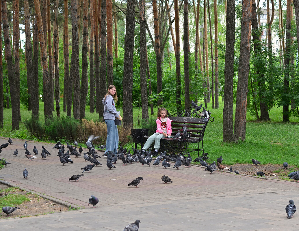 В парке,летом. - Alex Matarykin