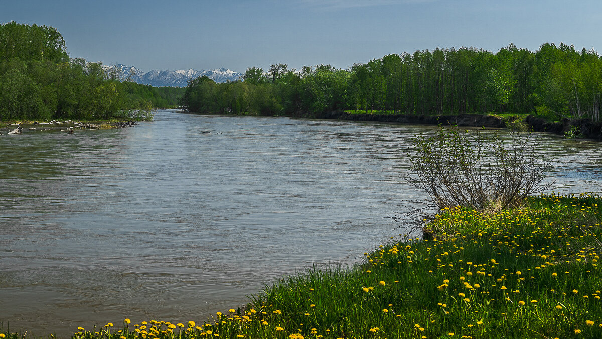 ... - Жора Житников ... - Жора Житников