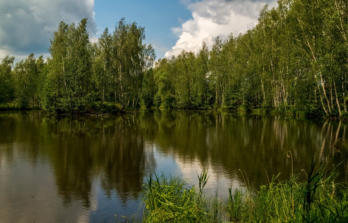 Июньское утро 5 - Андрей Дворников Июньское утро 5 - Андрей Дворников