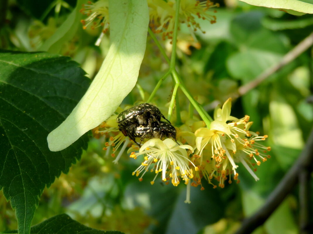 Во житуха! - Егор Бабанов