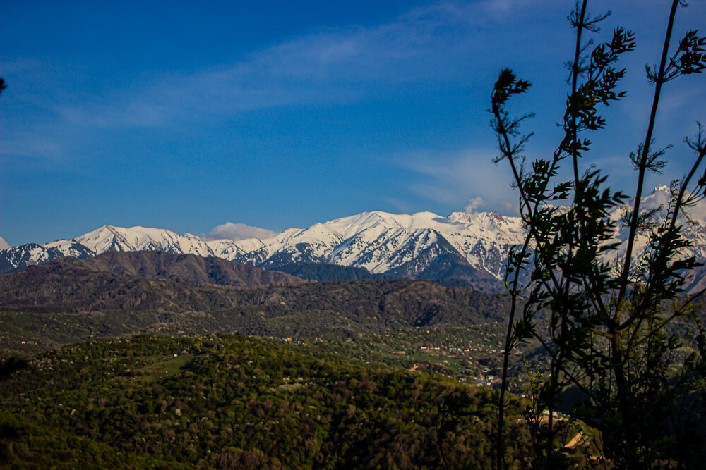 Вид с Кок-Тюбе - Светлана SvetNika17