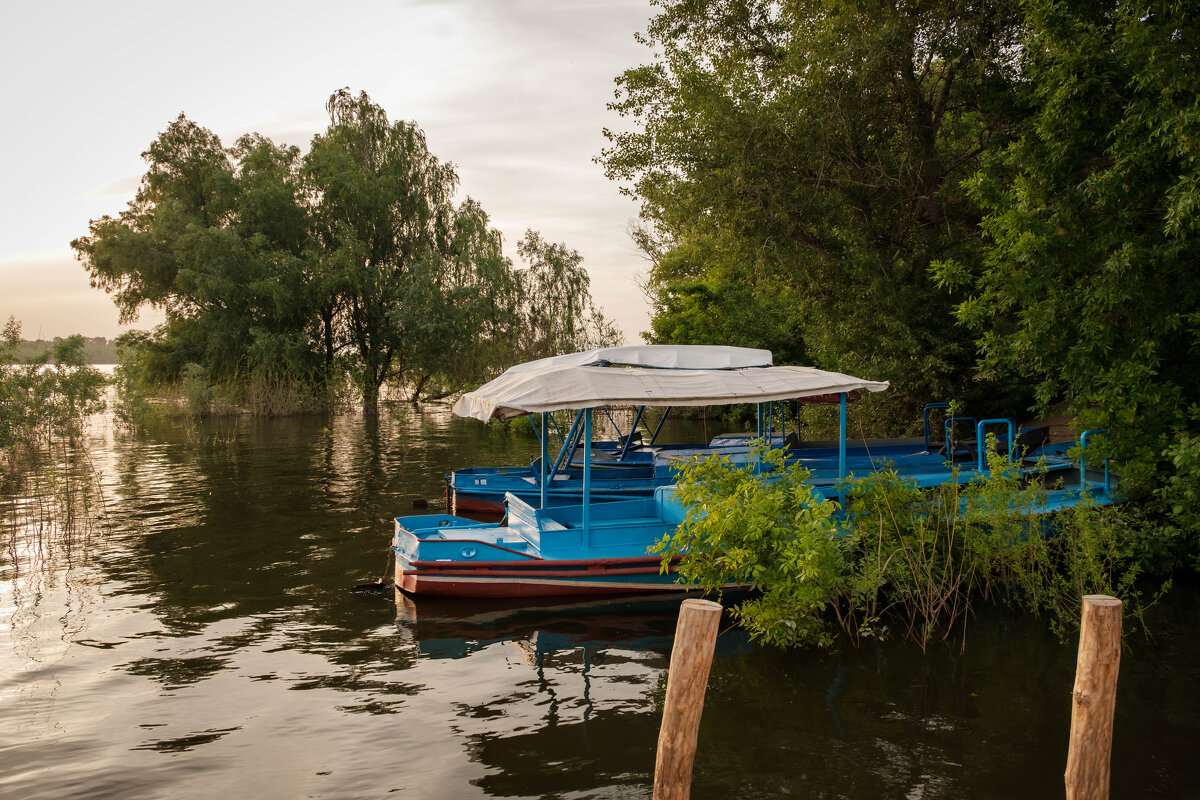 В половодье... - Олег Дорошенко В половодье... - Олег Дорошенко