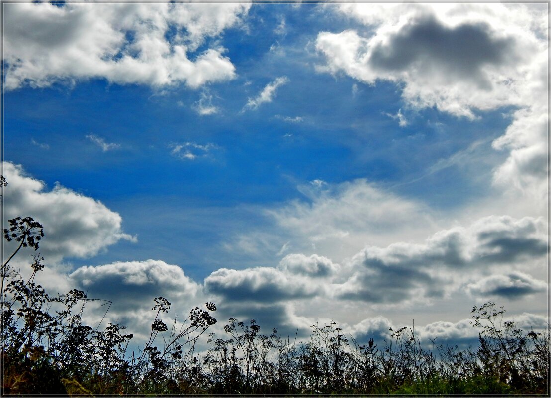 Круговорот - Сергей Швечков