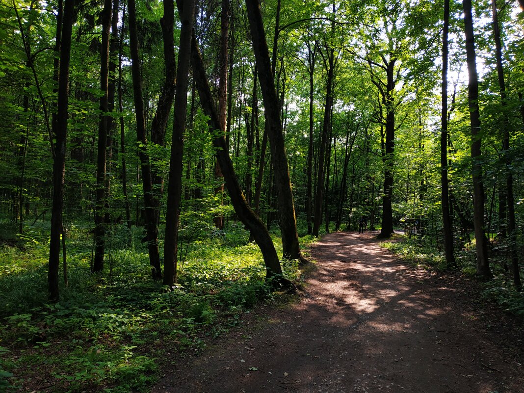 Моя Москва - Андрей Лукьянов Моя Москва - Андрей Лукьянов