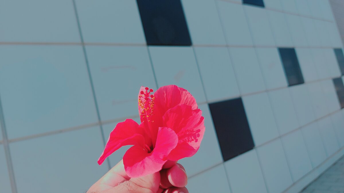 13  ОПЕН (107) - OPEN WAYS ALL