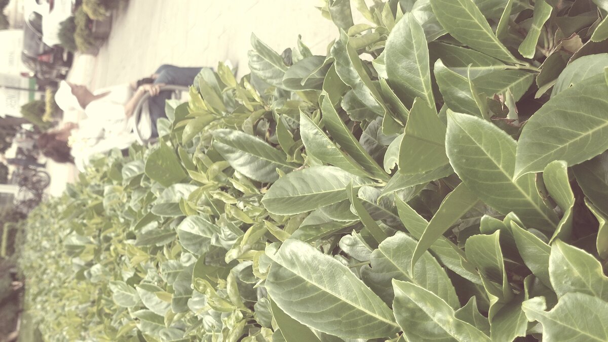 ЛЕ БО 2 (3) - CLOSE WAYS ALL