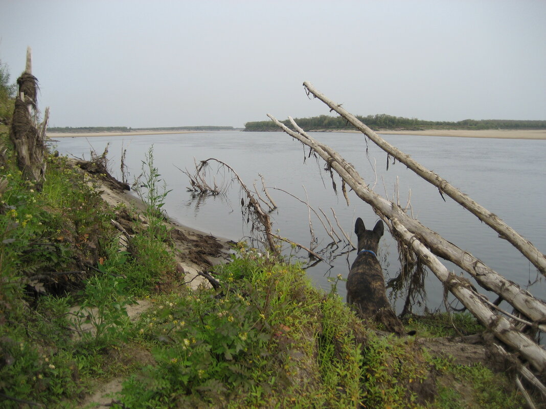 На острове - Anna Ivanova