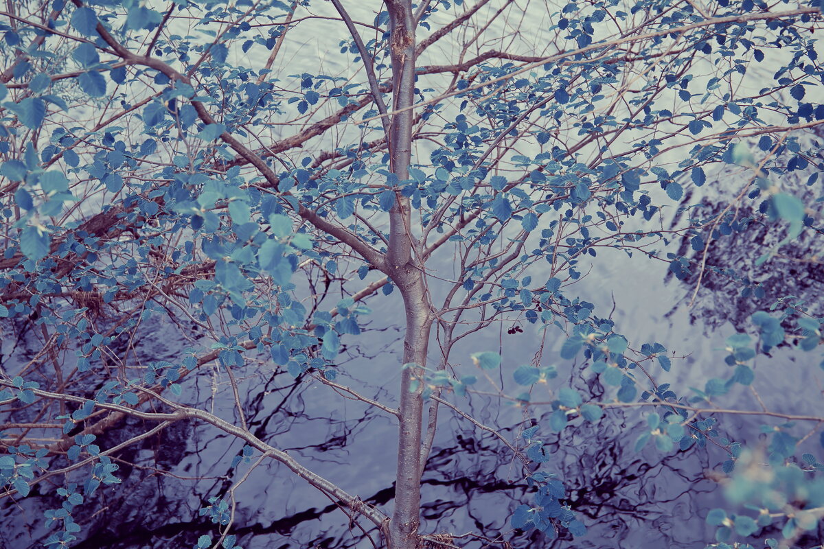 Назва. отсу. - Денис Безногов