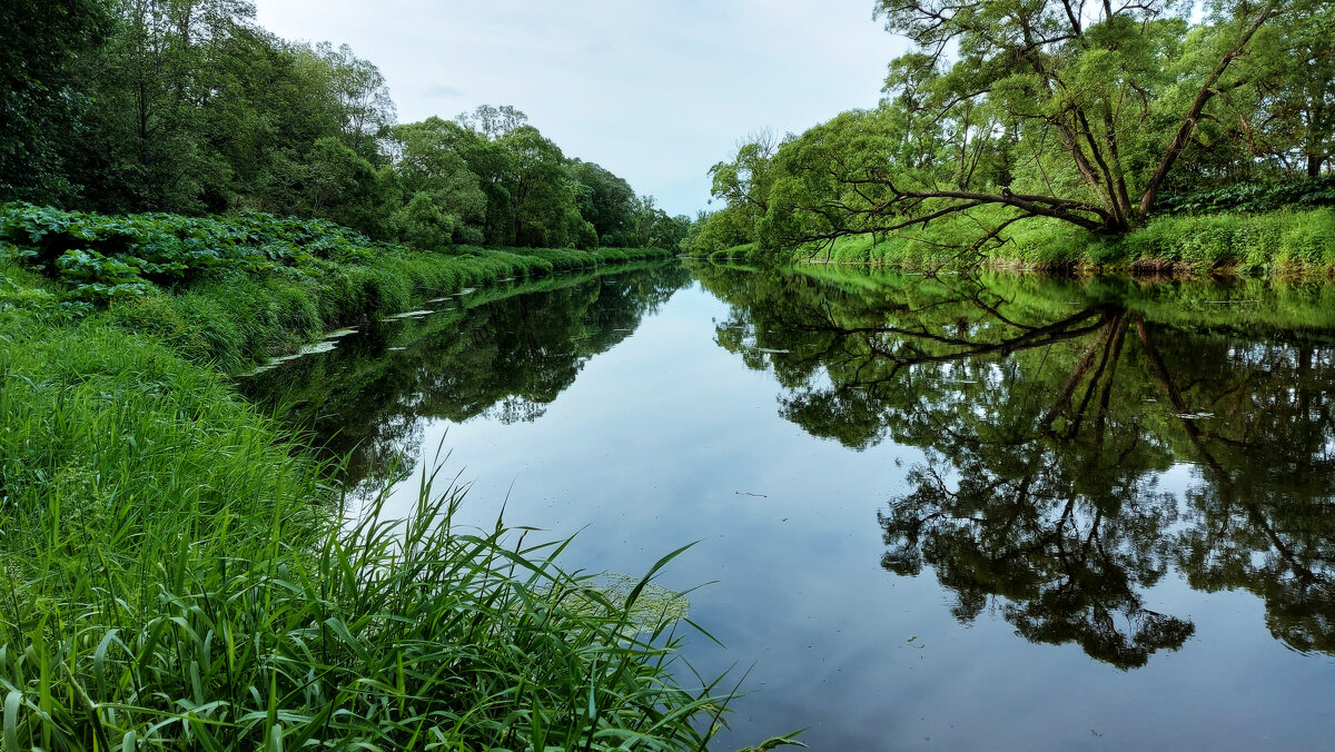 *** - Владимир Безбородов *** - Владимир Безбородов