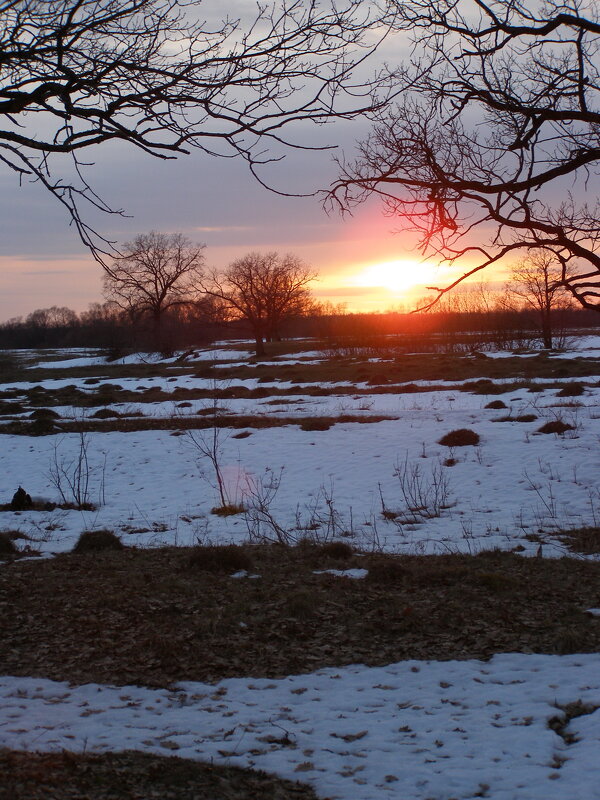 Зимний закат - Николай ntv Зимний закат - Николай ntv