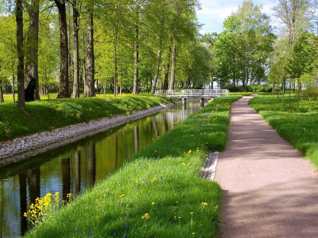 Весенние прогулки. - VasiLina *