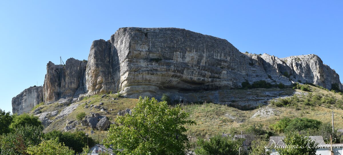 Природа Крыма - Amazing Cosmea