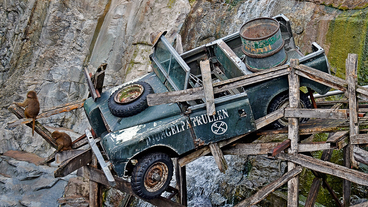 Кому-то не повезло, на зато кому-то здорово "накатило" - Alexandеr P