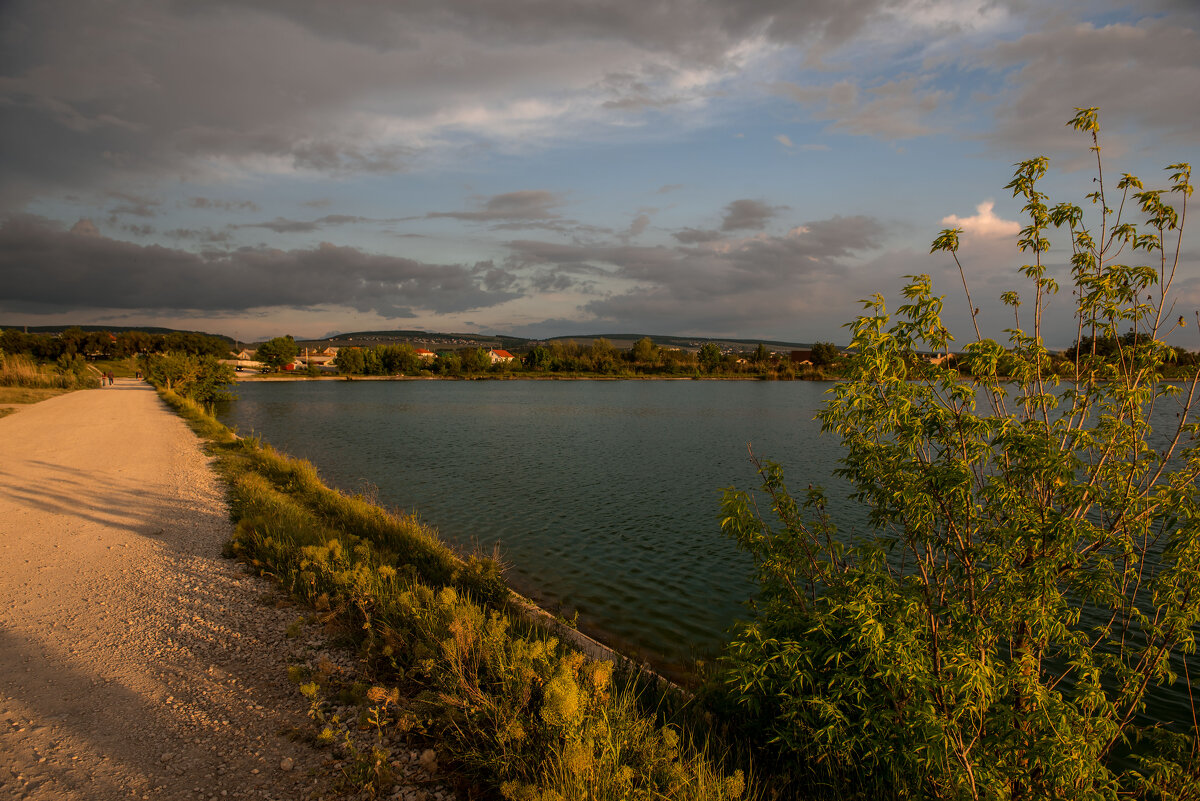 Летний вечер. - Сергей Воротников