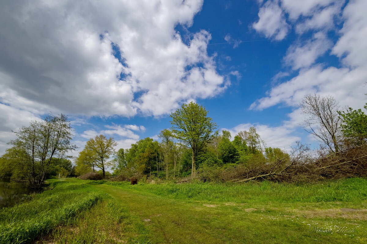 Берег озера... - Николай Гирш Берег озера... - Николай Гирш