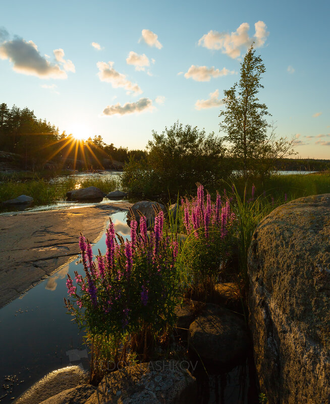 Лето на Ладоге - Фёдор. Лашков Лето на Ладоге - Фёдор. Лашков