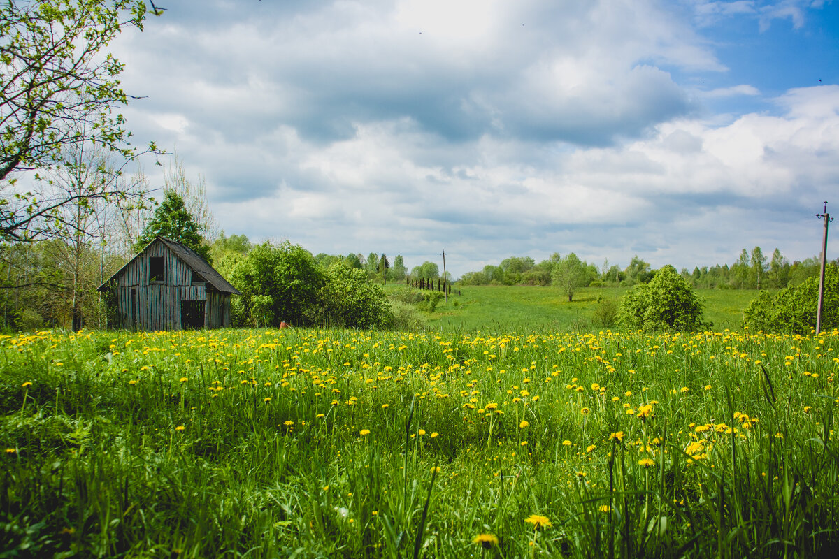В деревне - Артем 