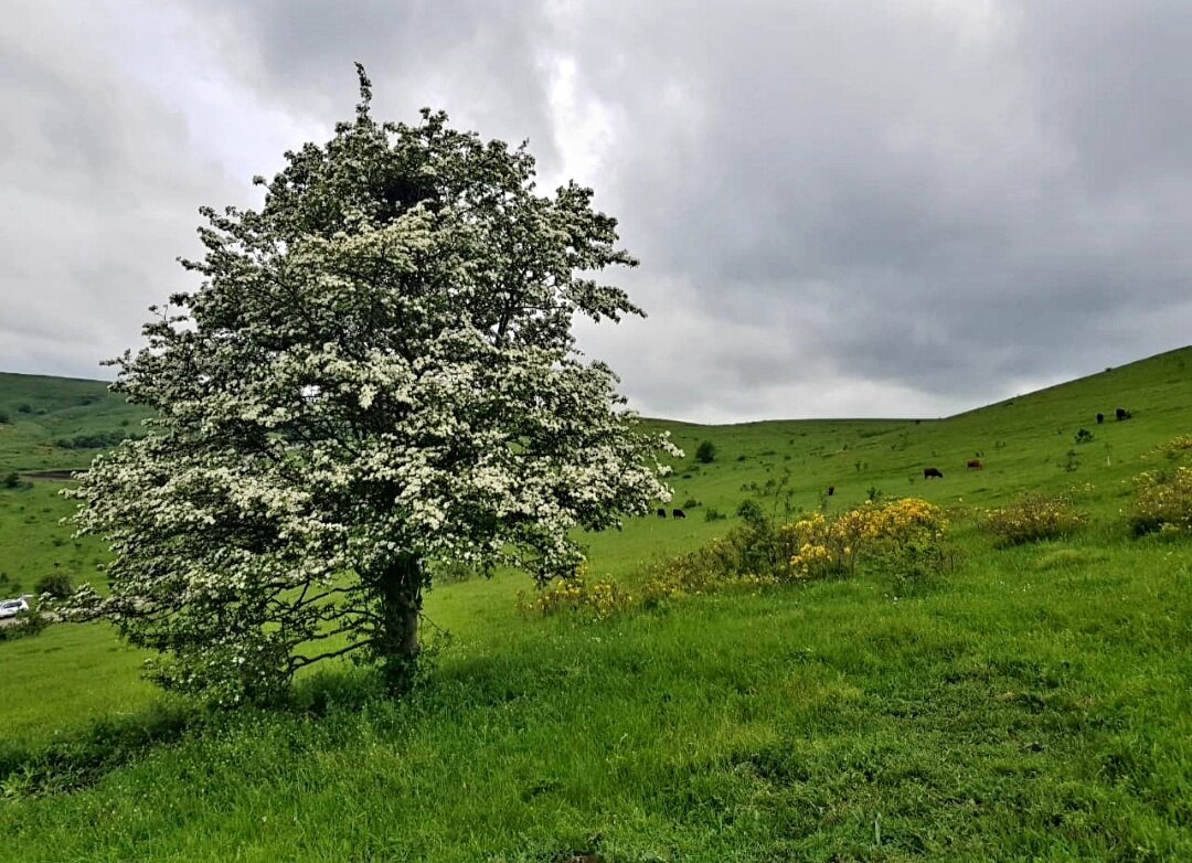 Путешествие по северному Кавказу - Tata Wolf