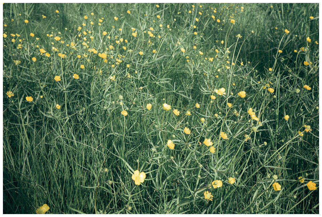 *** - someone somewere