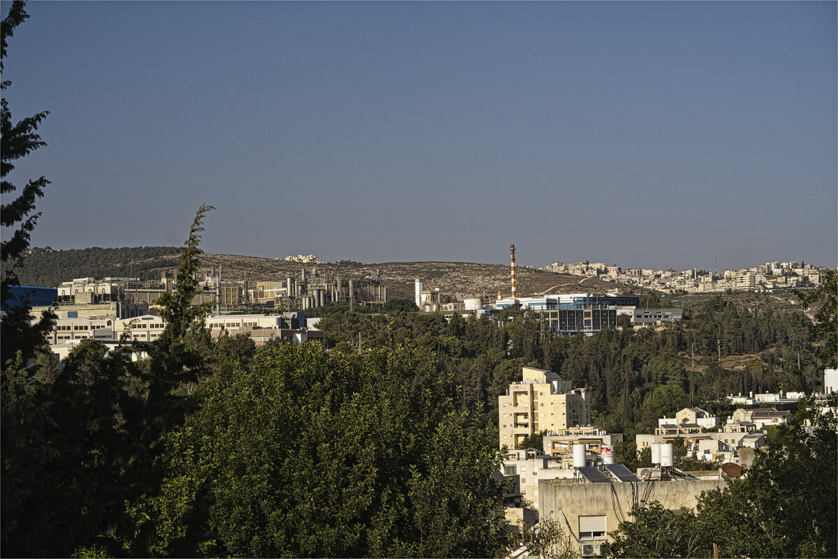 Израиль 2025год Мигдаль аЭмек - ujgcvbif 