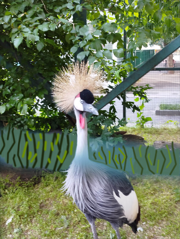 Портрет! - Надежда 