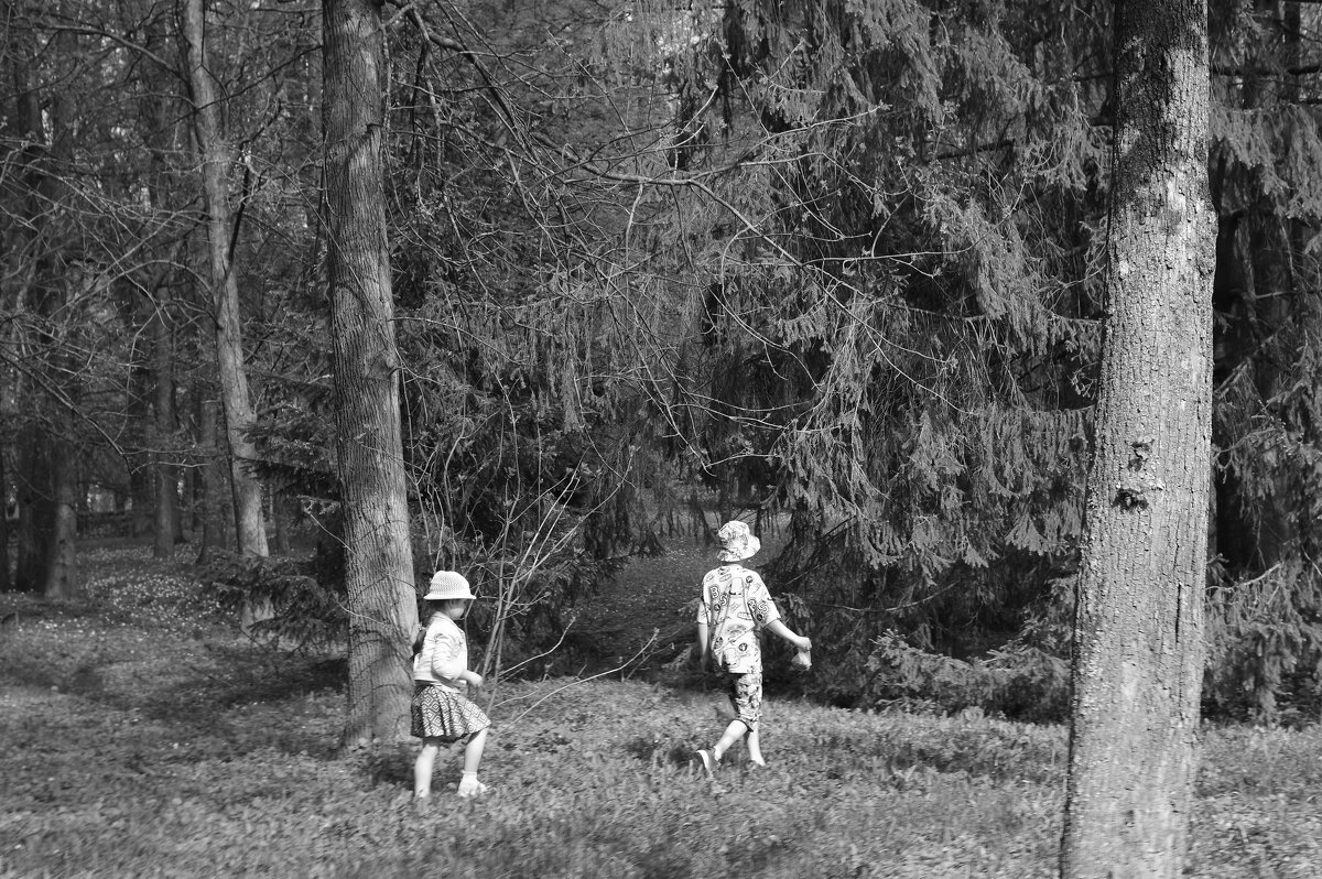 .... - Юрий Самсонов