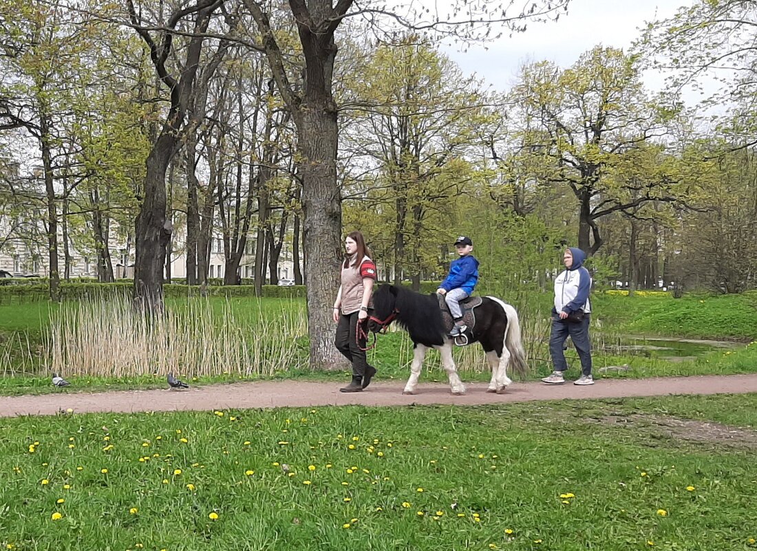 Стрельна. Орловский парк - Наталья Герасимова Стрельна. Орловский парк - Наталья Герасимова