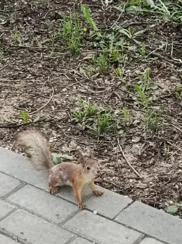 встреча - Галина R...