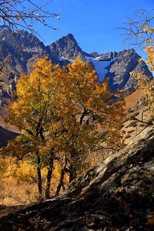 ПО ГОРАМ, осень. - Виктор Осипчук