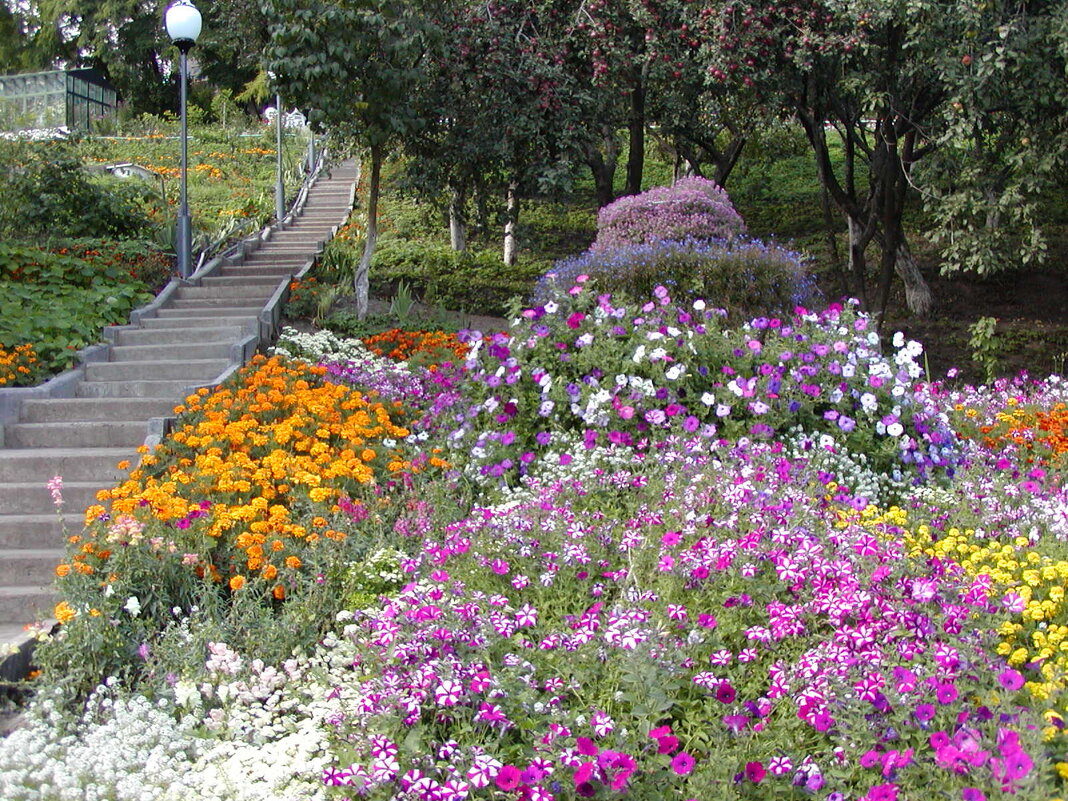 Патриаршие сады - Николай ntv Патриаршие сады - Николай ntv