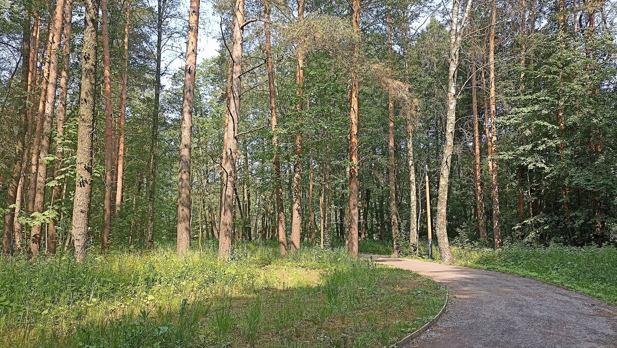 Июнь - Татьяна Тюменка