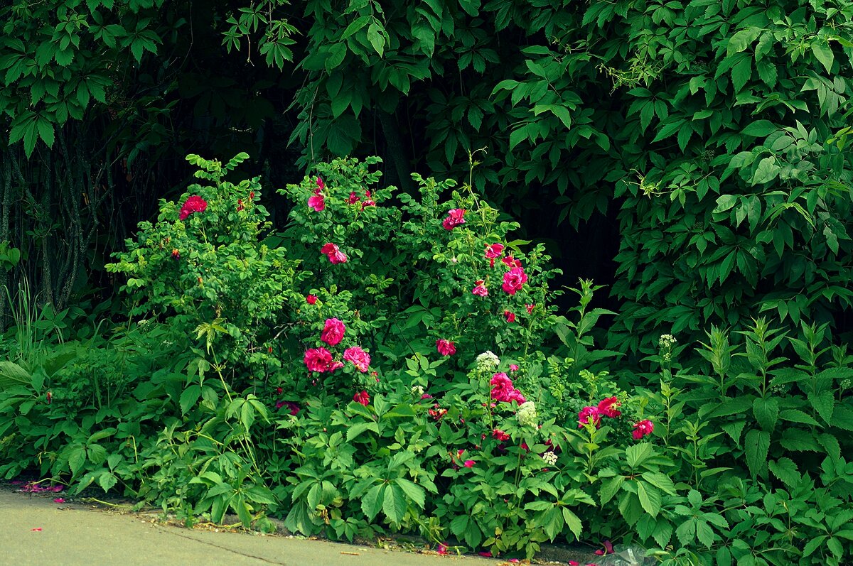 На закате - Леонид leo