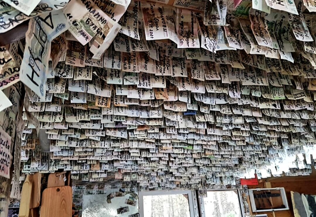 Необычное кафе, где всё в деньгах - Tata Wolf Необычное кафе, где всё в деньгах - Tata Wolf