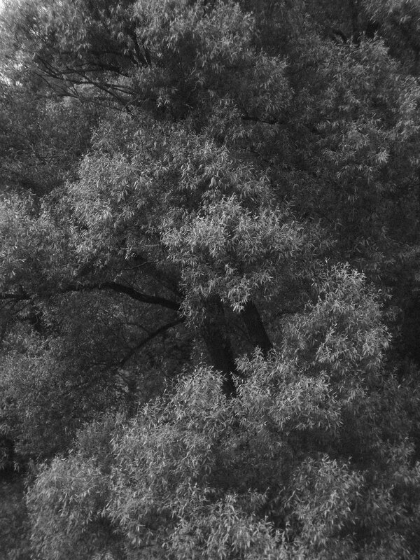 *** - Анна Малышева