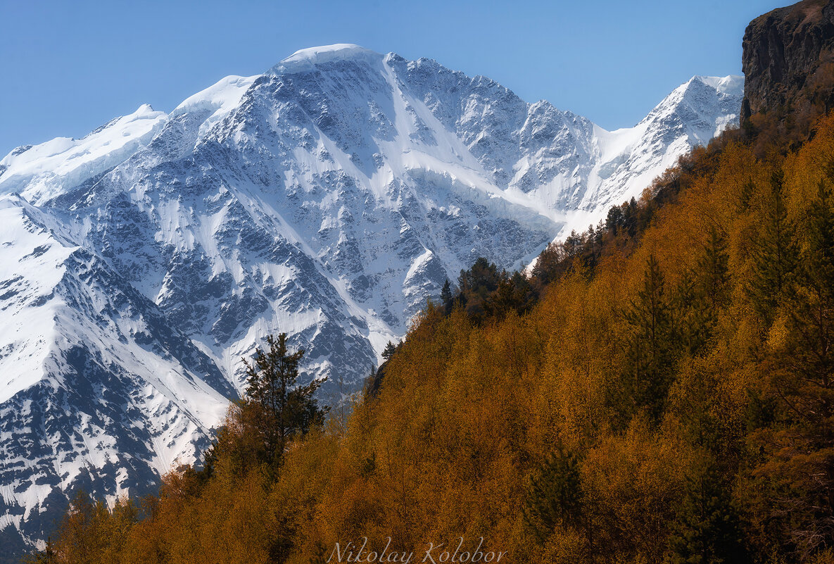 *** - Николай Колобов