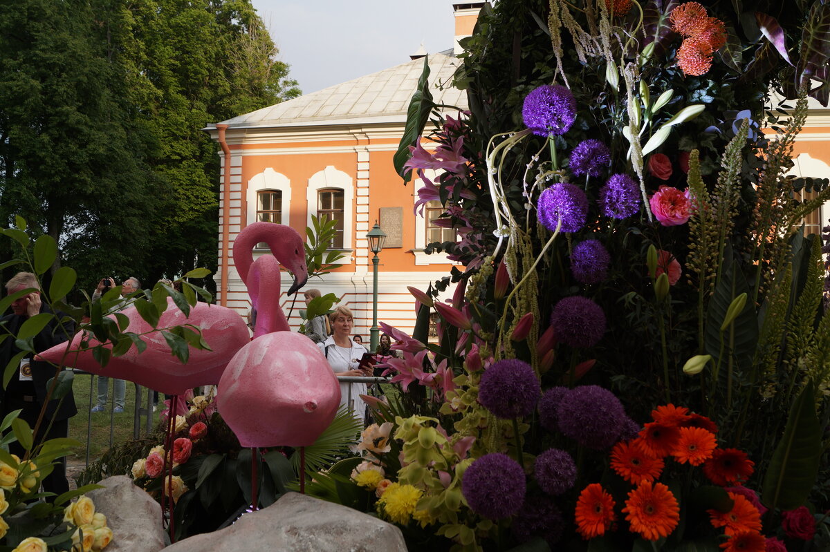 Фестиваль живых цветов! - Anna-Sabina Anna-Sabina