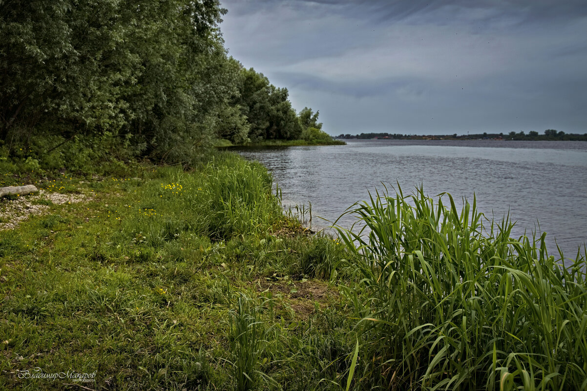 "Лето на Волге"© - Владимир Макаров "Лето на Волге"© - Владимир Макаров