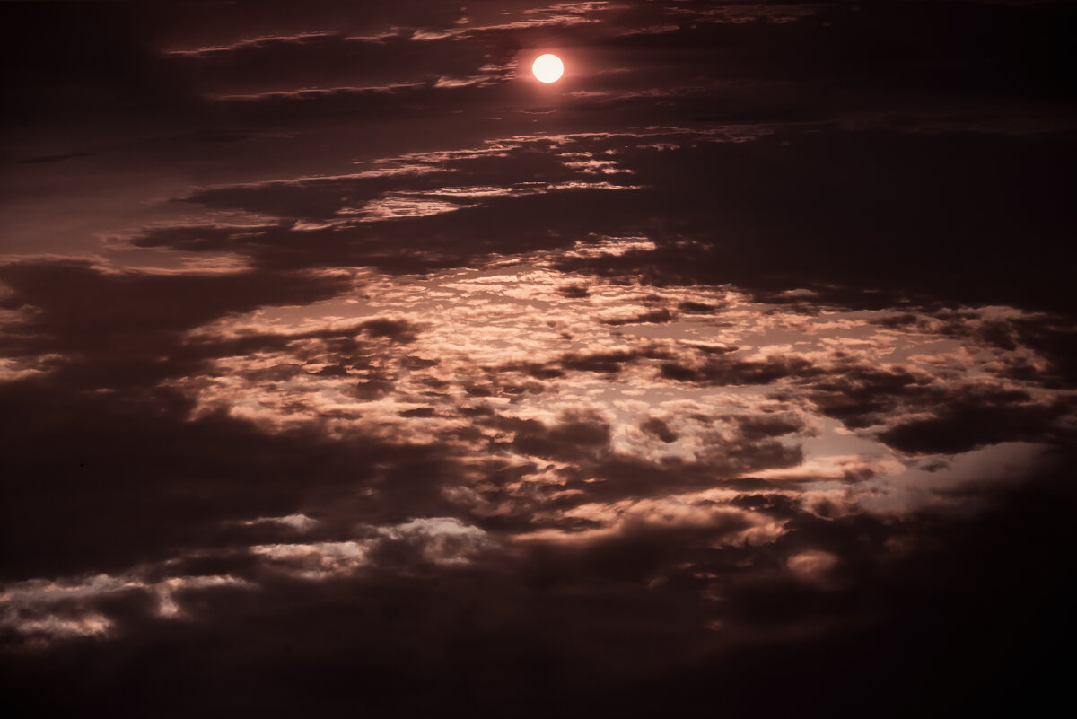 Восход солнца - Pasha Zhidkov